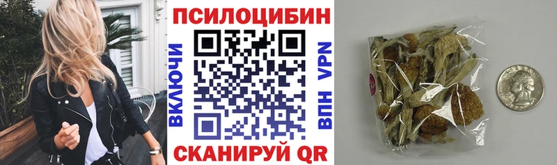 даркнет сайт  Клин  Псилоцибиновые грибы GOLDEN TEACHER 