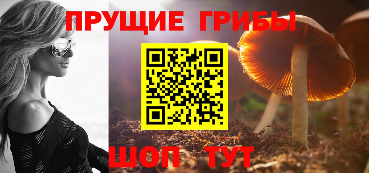 Клин  Псилоцибиновые грибы Magic Shrooms  Вход с VPN 